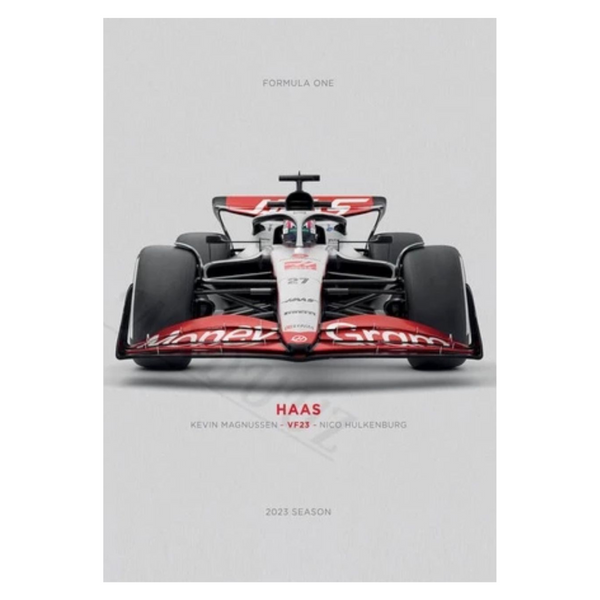 Cuadro Decorativo Autos F1 2023 <br> Haas F1 Team VF23