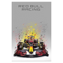 Cuadro Decorativo Pilotos F1 <br> Red Bull Racing RB18