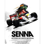 Cuadro Decorativo Senna Collection <br> Mclaren Ayrton Senna 2